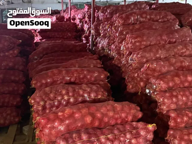 بصل سوداني للبيع