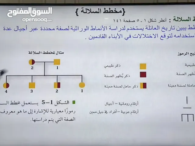مدرسة الاحيا للثانوي وانجليزي