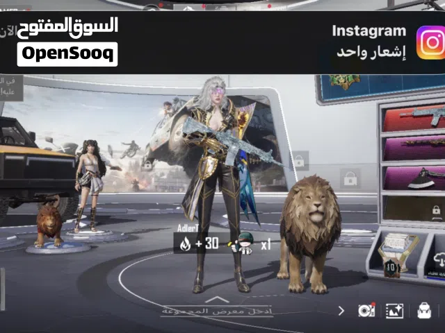 Pubg Accounts and Characters for Sale in Amman