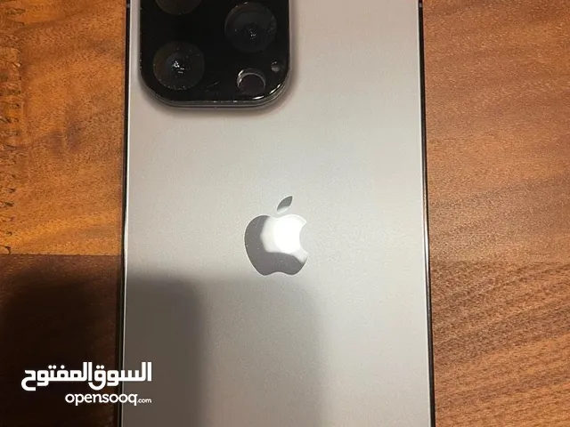 Apple Others 256 GB in Cairo