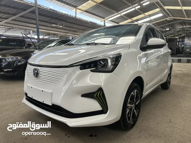 2022 Changan E-Star EV