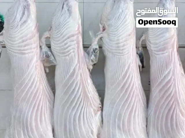 ذبح عجول وغنم