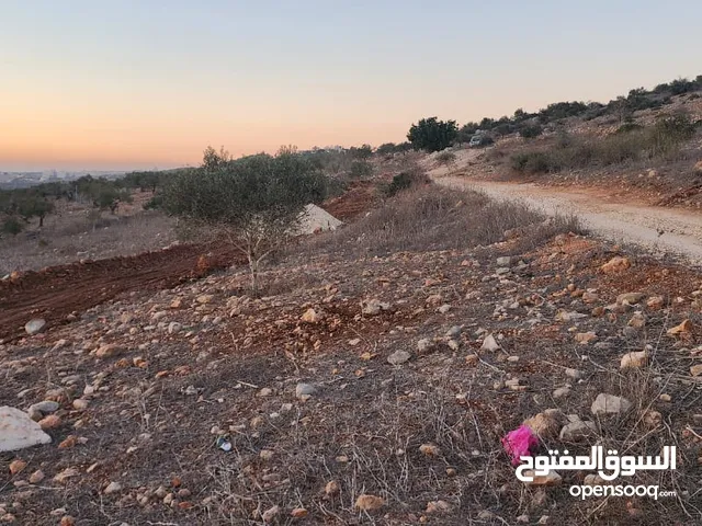 Residential Land for Sale in Jenin Raba