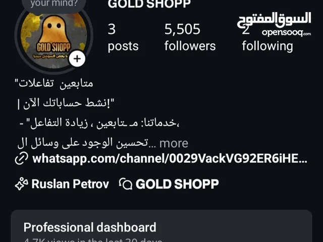 Social Media Accounts and Characters for Sale in Amman