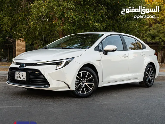 New Toyota Corolla in Baghdad