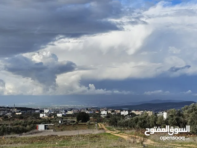 نمرتين ارض مساحه 700 متر كل نمره