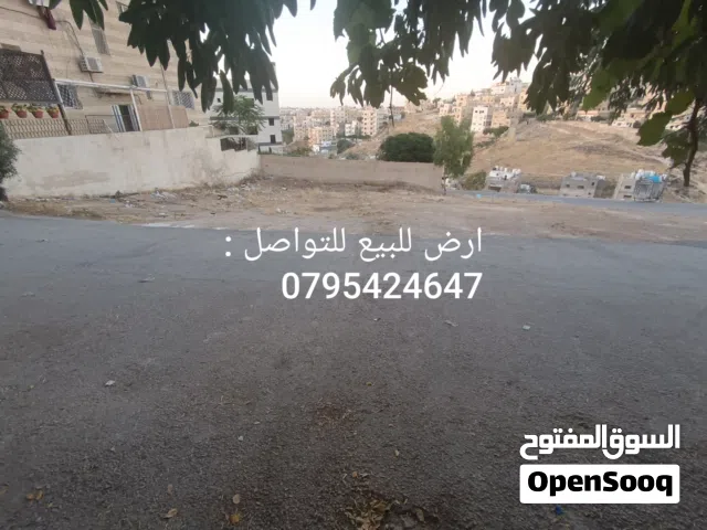 Mixed Use Land for Sale in Amman Adan