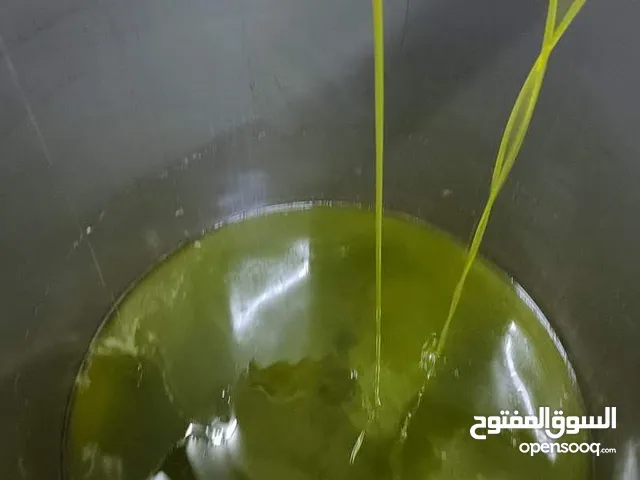زيت زيتون الكفارات للبيع