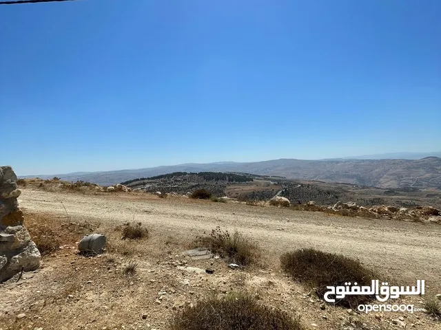 Residential Land for Sale in Jerash Unaybah