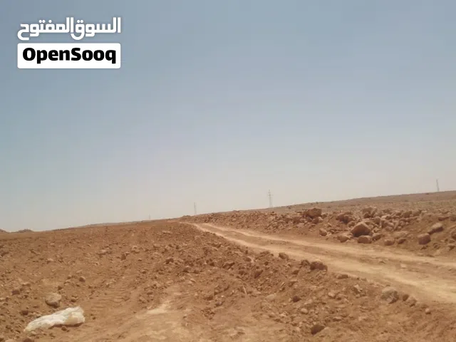 Farm Land for Sale in Mafraq Al-Khalidya