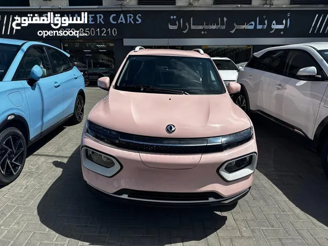 2023, دونج فينج, EX1