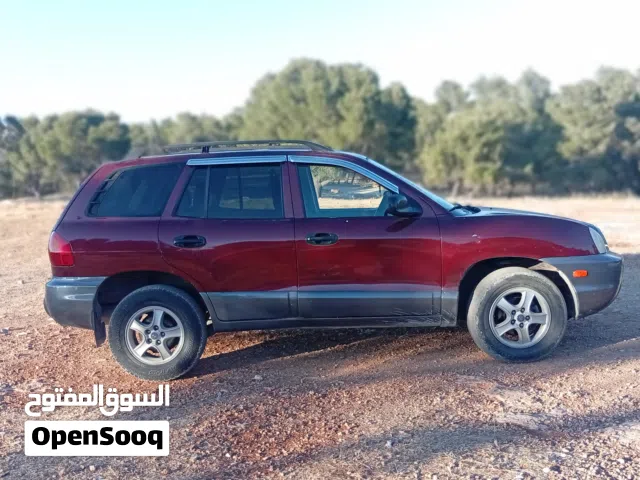 2001 Hyundai Santa Fe Standard