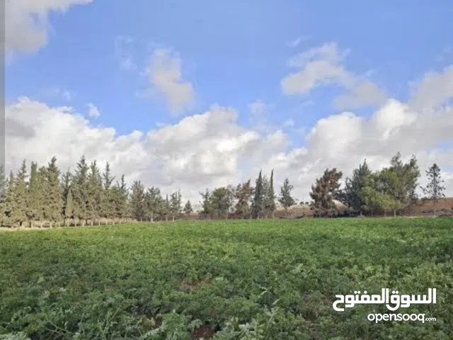Farm Land for Sale in Misrata Ad Dafiniyah