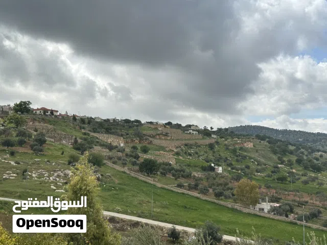 ارض للبيع في صروت بجانب نبع مياه