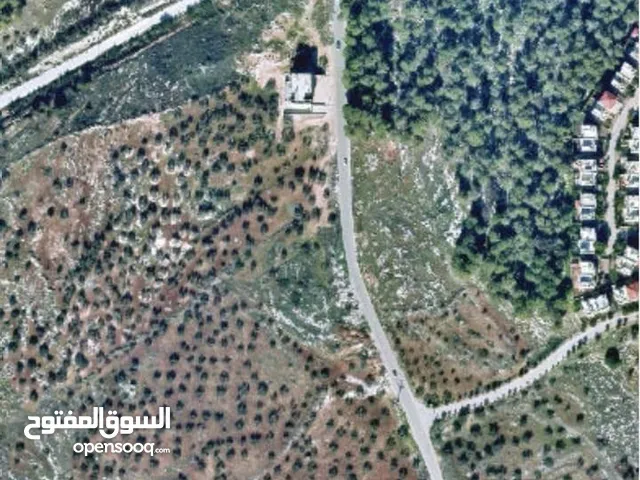 Mixed Use Land for Sale in Jenin Al-Jinan