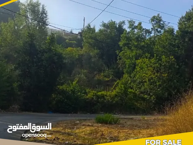 FOR SALE LAND IN AZRA