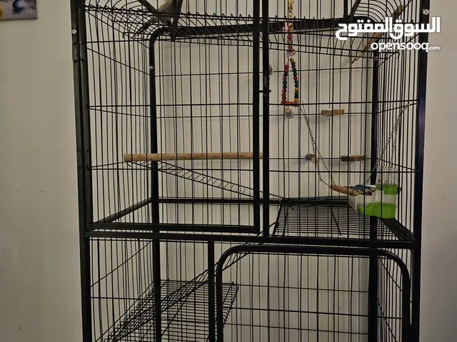 قفص طيور كبير للبيع