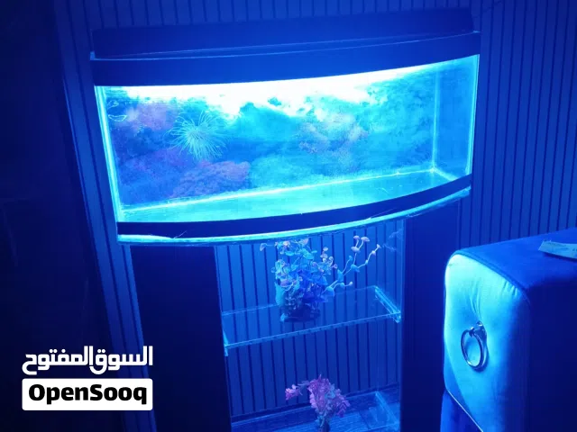 حوض سمك للبيع