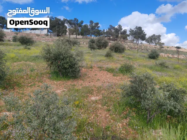 Residential Land for Sale in Mafraq Rhab