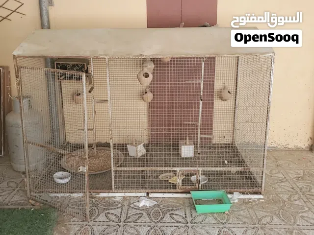 قفص للطيور و استاند للأغراض بحاله جيده