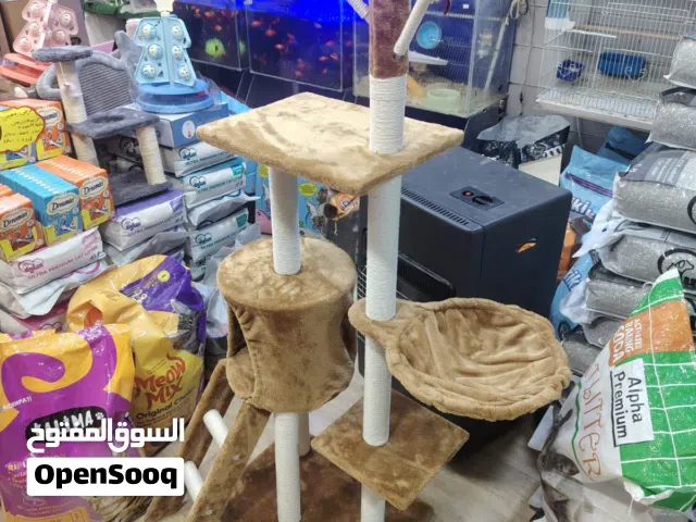 خداشه عده طوابق مع بيت داخلي وبيت خارجي مميزه جدا