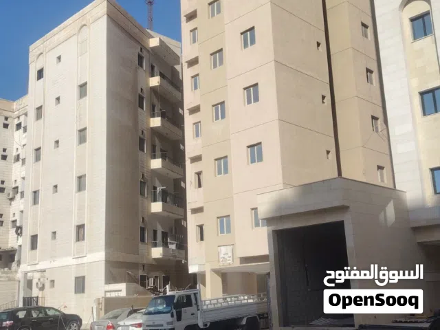 مطلوب فردين مشاركة سكن