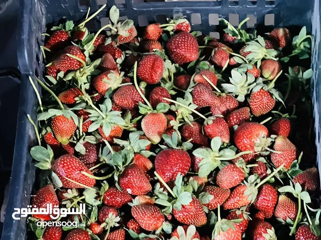 فراوله طازجه وطريه متماسكه وطعم لذيذ