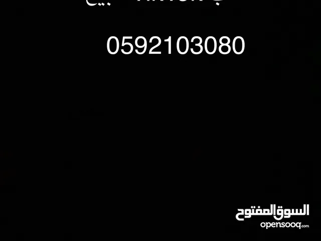 Social Media Accounts and Characters for Sale in Jerusalem