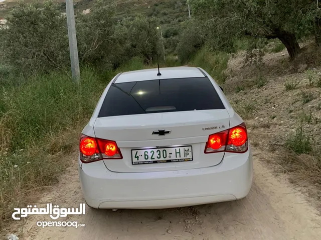 شفر كروز 2010 فحص نخب