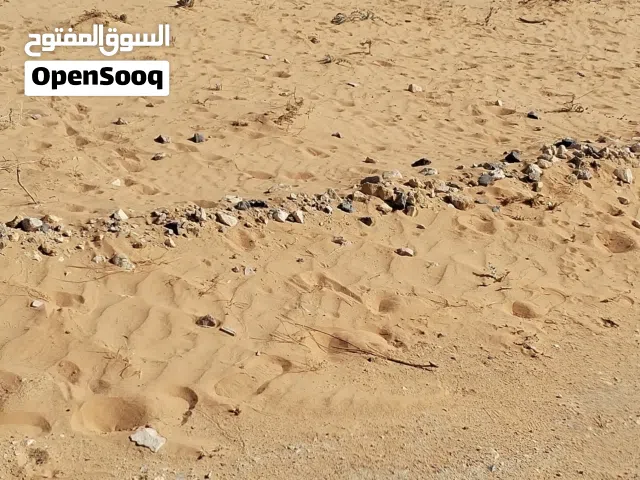 440م واجهة 22متر وعمق 20متر حي سكني خدمات ومدارس قريبة محطة وقود امورها تمام اوراق حجة وفريضة شرعية