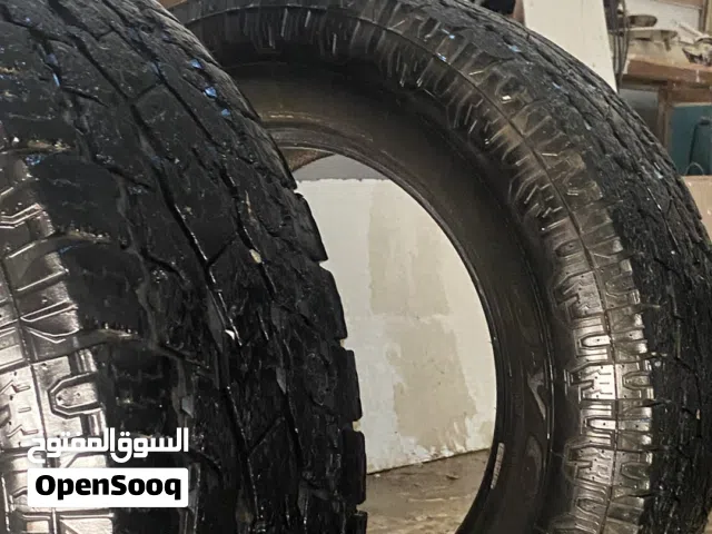 ساريت تندرا