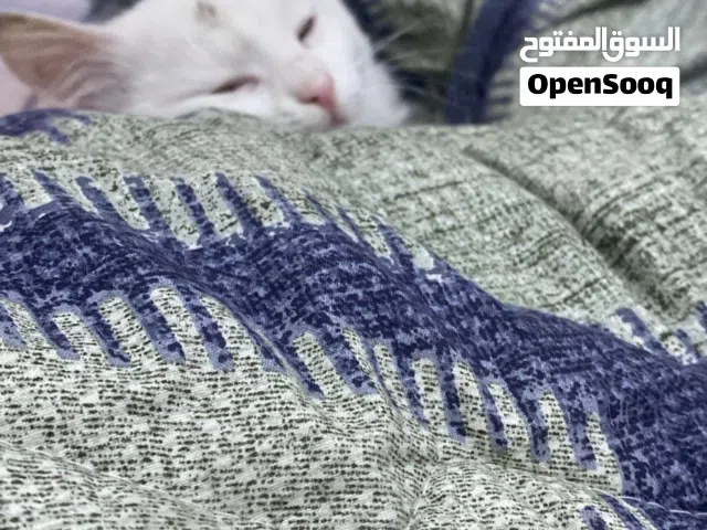 نثيه لتبني العمر اشهر
