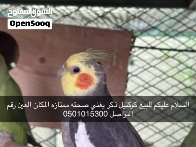 كوكتيل اليف