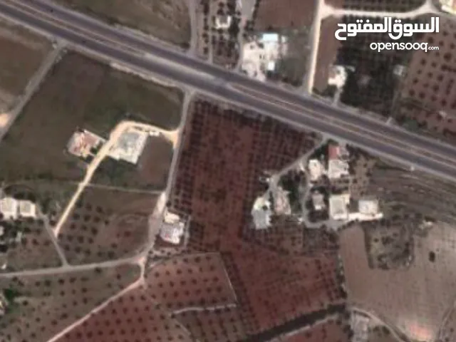 Residential Land for Sale in Amman Naour