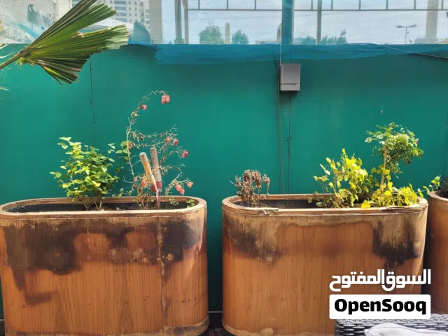 للبيع احواض زرع من خشب