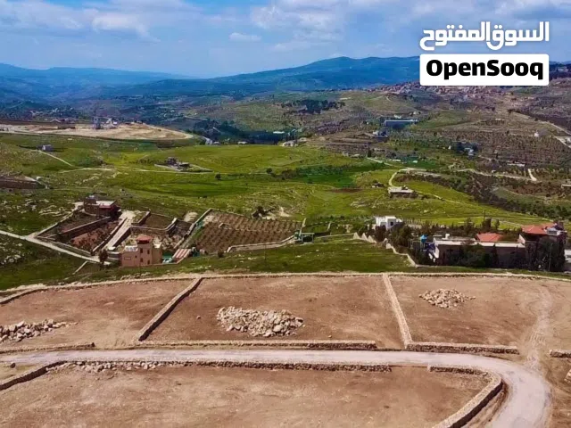 مشروع أراضي طلة عنيبة – -جرش فرصة استثمارية لا تعوض
