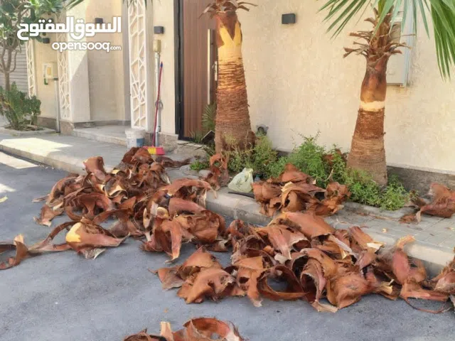 تنسيق الحدايق وزرعت الأشجار بالرياض