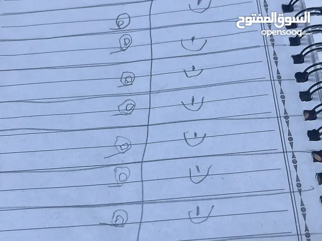 Elementary Teacher in Al Riyadh