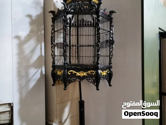 سلام وعليكم قفص للبيت صيني جديد