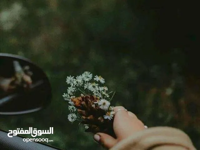 ايات طنينه