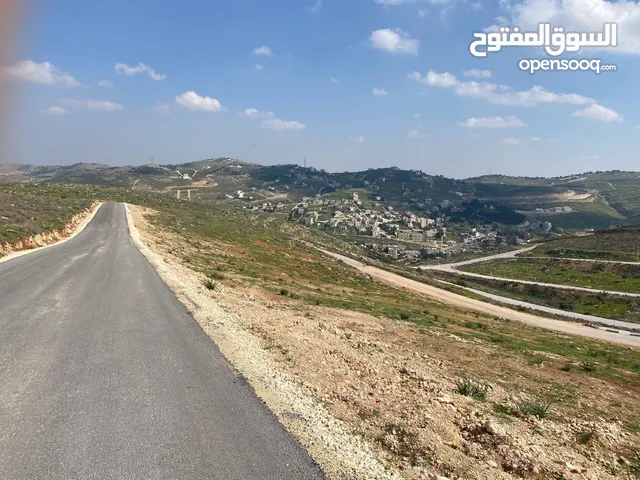 Residential Land for Sale in Zarqa Birayn