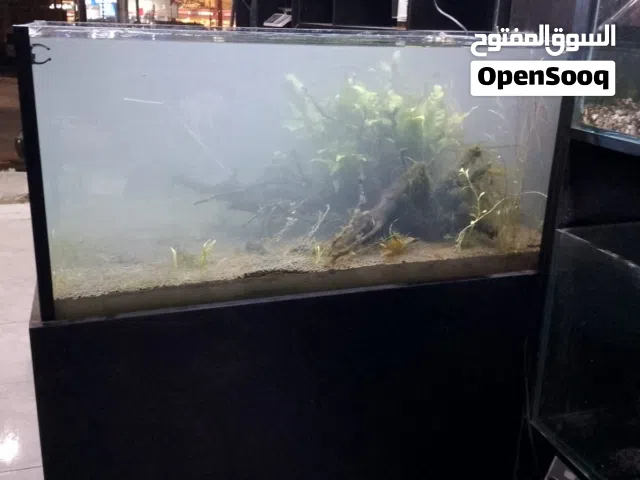 حوض مع طاولة كامل مكمل
