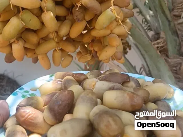 رطب نغال جديد