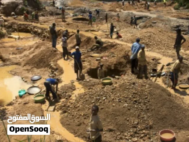 All types of Gold from Uganda to UAE available inshallah