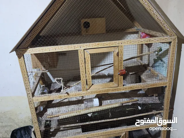 للبيع قفص حق الطيور