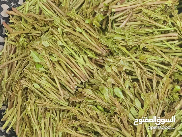 قات حوشبي وقيفي فاخر درجة أولى