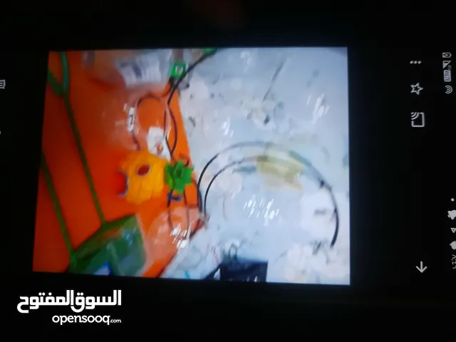 عروض العيد لمدة أسبوع متوفر عندي أحواض سمك بقمة الحلاوة والكياته لسمك الفايتر