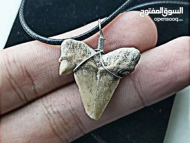 rare shark tooth fossil necklace for men