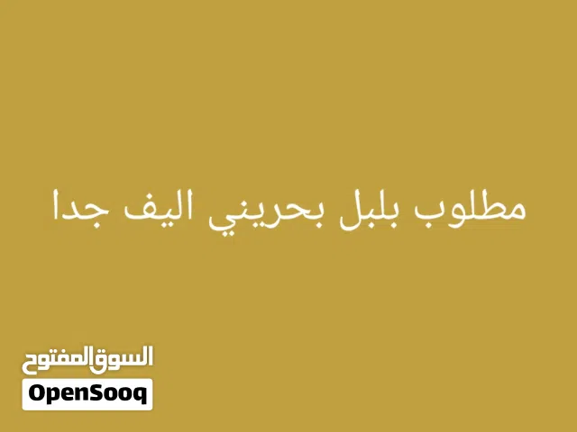 مطلوب بلبل بحريني اليف جدا