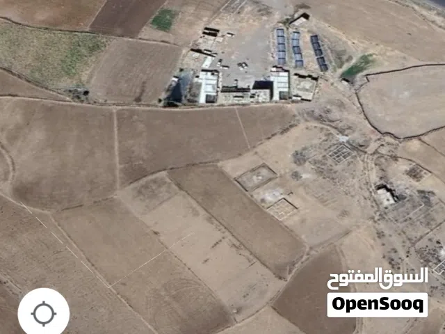 Farm Land for Sale in Dhamar Other